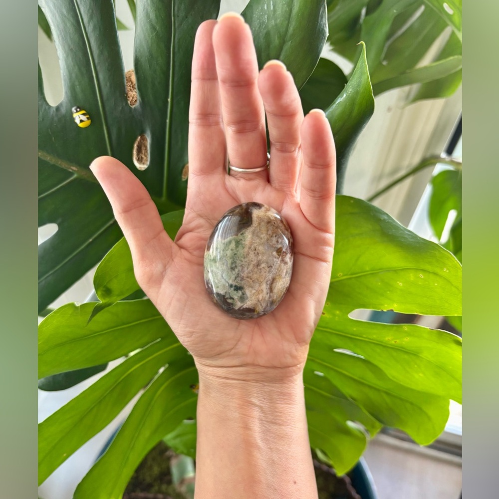 Ocean Jasper Palmstone - Picture 4 of 4